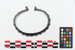 Foto von Bronzemelonenarmreif (NHMW-PRAE-025306)